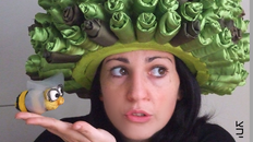 שלמה המלך והדבורה גדית האגדית 