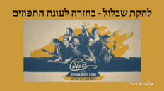 להקת שבלול - בחזרה לעונת התפוזים