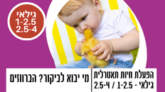 הפעלת חיות תאטרלית -מי יבוא לביקור?  הברווזים